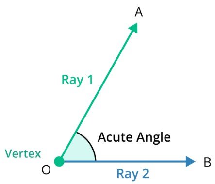 acute angle