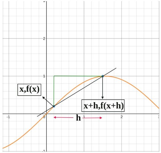 differentiation