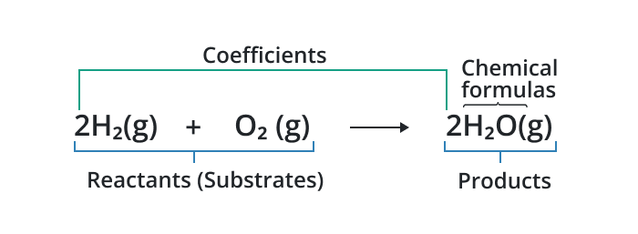 chemical equation