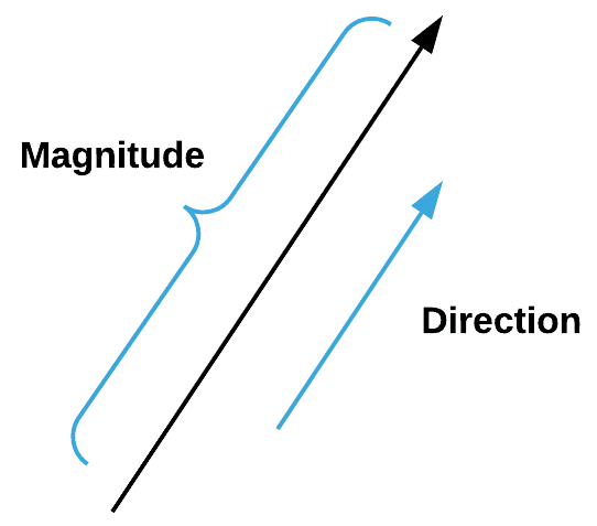vector