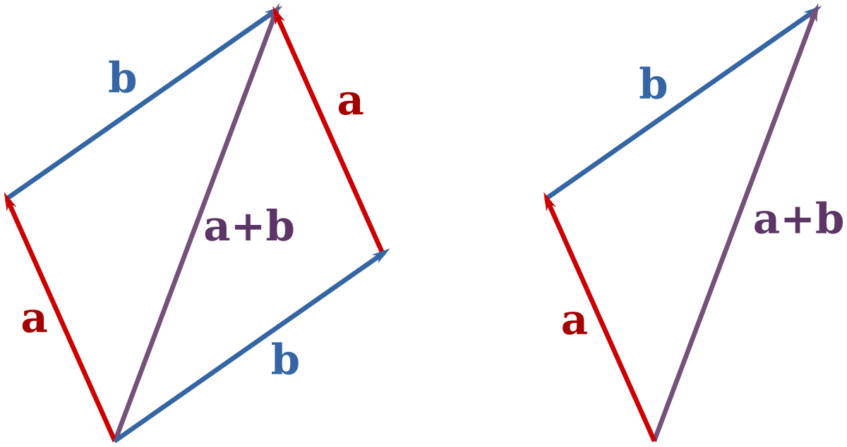 vector